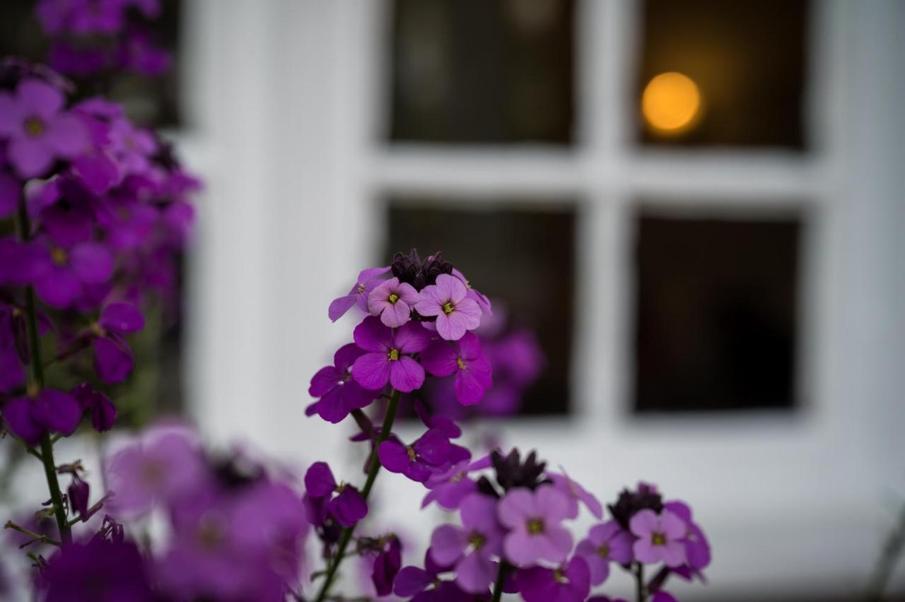 Findon Manor Hotel Eksteriør billede